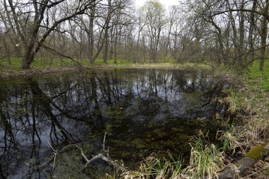 Tula şehir esas olarak doğru Samara Nehri kıyısında yer alır