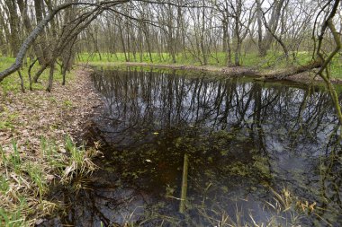 Tula şehir esas olarak doğru Samara Nehri kıyısında yer alır