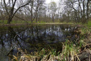 Tula şehir esas olarak doğru Samara Nehri kıyısında yer alır