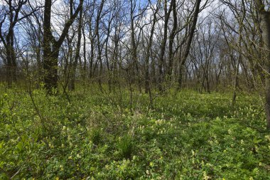 Tula şehir esas olarak doğru Samara Nehri kıyısında yer alır