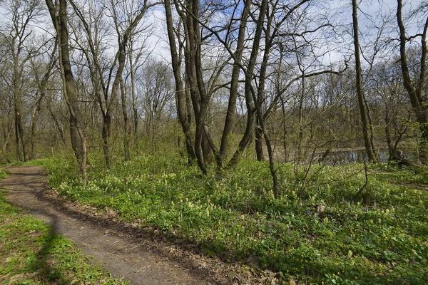 Novomoskovsk ciudad está situada principalmente en la orilla derecha del río Samara — Foto de Stock