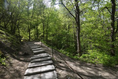 Saharna bir köy Rezina Moldova bölge
