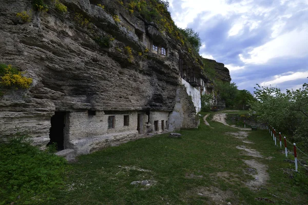 Tipova (Oda ipova.) Bir köy Rezina Moldova bölge.
