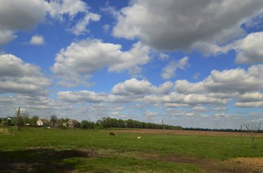 Korolyovka (Korolivka köyü) - Köyü, Nikolaevsky köyü Konseyi, Tula bölgesi, Dnepropetrovsk region, Ukrayna.