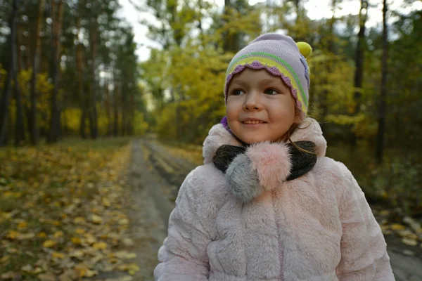 Mooi Klein Meisje Een Herfstwandeling Het Bos — Stockfoto