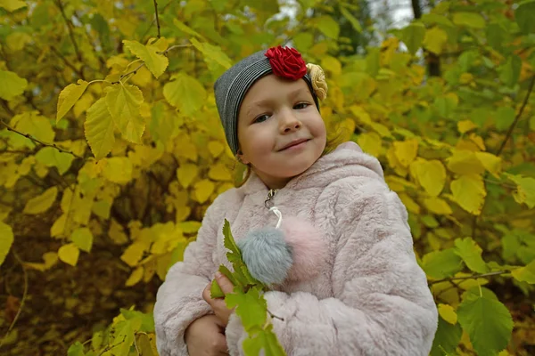 Krásná Holčička Podzimní Procházce Lese — Stock fotografie