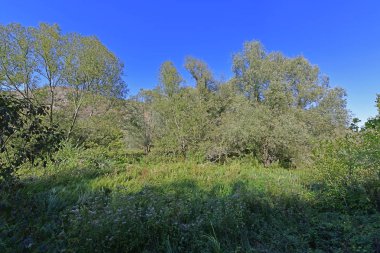 Sonbahar gezisi Picoresque dağlarından Arzular Vadisi 'ne ve şelaleye.