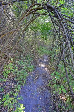 Sonbahar gezisi Picoresque dağlarından Arzular Vadisi 'ne ve şelaleye.