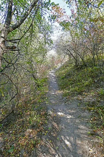 Viaje Otoño Través Las Pintorescas Montañas Hasta Valle Los Deseos — Foto de Stock