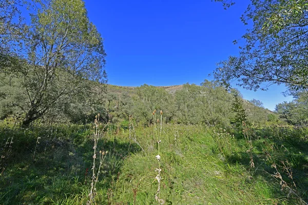 Viaje Otoño Través Las Pintorescas Montañas Hasta Valle Los Deseos — Foto de Stock