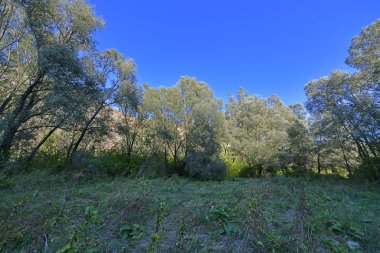Sonbahar gezisi Picoresque dağlarından Arzular Vadisi 'ne ve şelaleye.