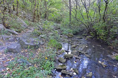 Sonbahar gezisi Picoresque dağlarından Arzular Vadisi 'ne ve şelaleye.