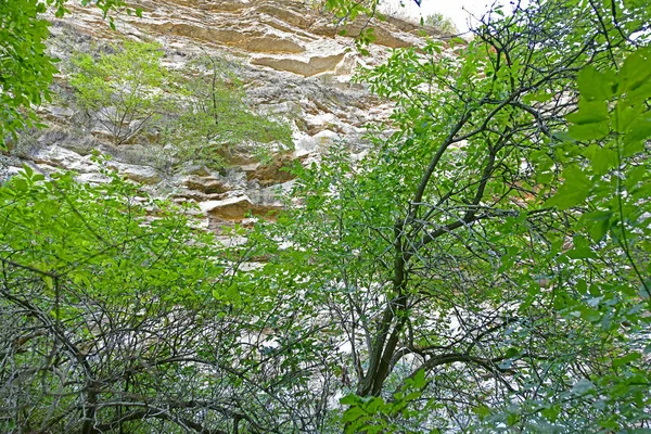 Viaje Otoño Través Las Pintorescas Montañas Hasta Valle Los Deseos — Foto de Stock