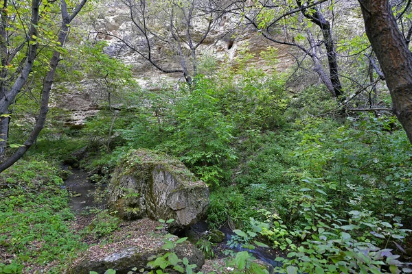 Viaje Otoño Través Las Pintorescas Montañas Hasta Valle Los Deseos — Foto de Stock