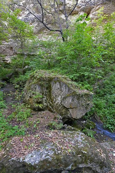 Høstens Tur Gjennom Pittoreske Fjellene Til Begjærets Dal Videre Til – stockfoto