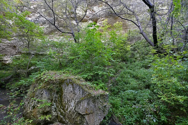 Viaje Otoño Través Las Pintorescas Montañas Hasta Valle Los Deseos — Foto de Stock