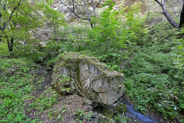 秋天的旅行穿过风景如画的群山 到达渴望的山谷 进而到达瀑布 — 图库照片