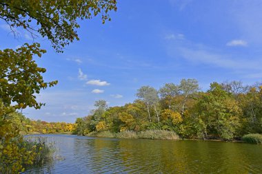 Güzel kırsal alanlar, sonbahar manzaraları ve gün batımları..