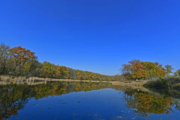 Beau Paysage Paysages Automne Couchers Soleil — Photo