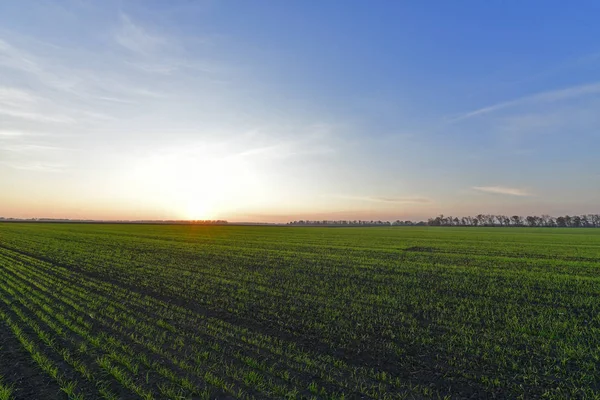 Bela Paisagem Rural Paisagens Outono Pôr Sol — Fotografia de Stock