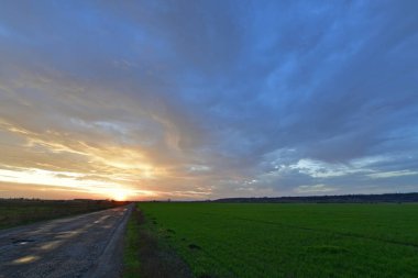 Güzel kırsal alanlar, sonbahar manzaraları ve gün batımları..