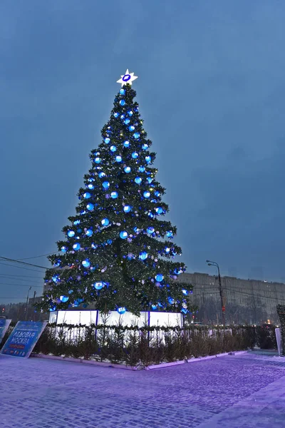 Christbaumschmuck Dekoration Eine Vielzahl Geschmückter Weihnachtsbäume — Stockfoto