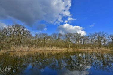 Nehirde güzel bir bahar günbatımı.