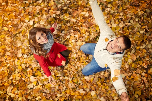 Top view of girlfriend with partner in park full of fallen leave — Stock Photo, Image