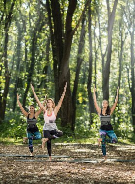 doğada grup egzersizleri