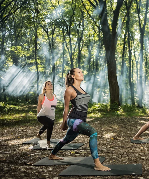 Gruppe junger Leute hält sich mit Bewegung im Wald fit — Stockfoto