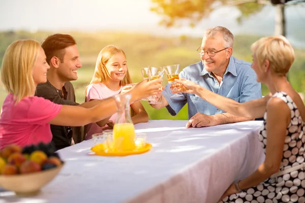 Сім'я святкує вечірку на пікнік радісний спосіб життя п'є — стокове фото