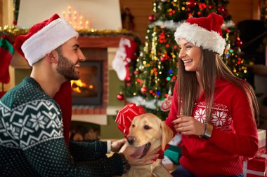 Mutlu Noel için köpek çiftle    
