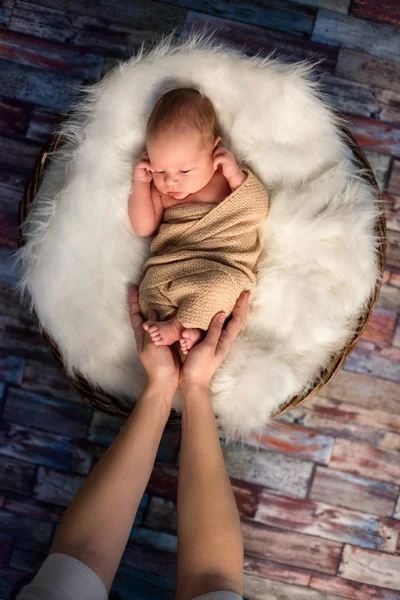Anne dokunmatik küçük yeni doğmuş çocuk — Stok fotoğraf