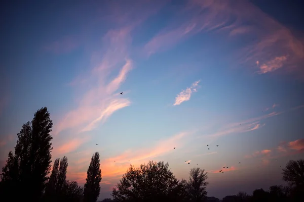 Dramatischer Sonnenuntergang vor Sturm — Stockfoto