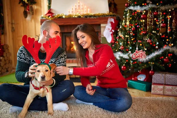 Νεαρό ζευγάρι εμπαιγμός με το σκυλί για τα Χριστούγεννα — Φωτογραφία Αρχείου