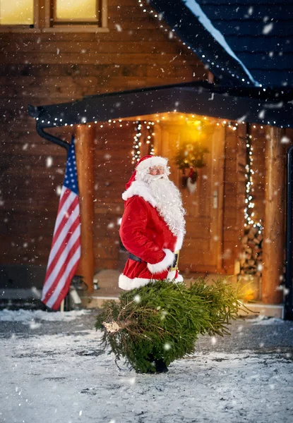 Papai Noel carrega uma árvore de Natal — Fotografia de Stock