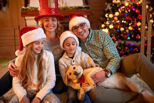 Портрет щасливої сім'ї напередодні Різдва з собакою — стокове фото
