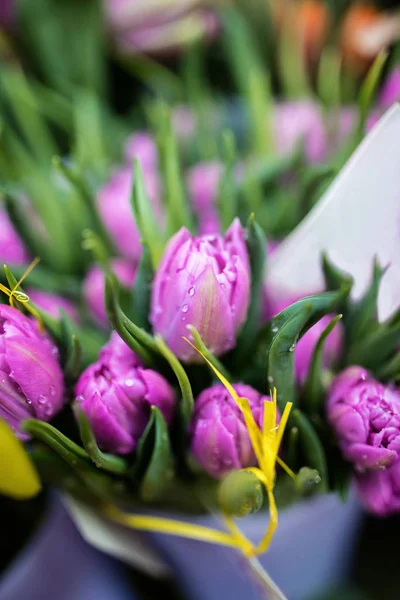 Buquê de tulipas — Fotografia de Stock