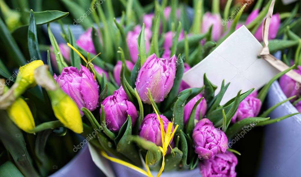 Purple tulips in flower shop — Stock Photo © luckybusiness 129568638