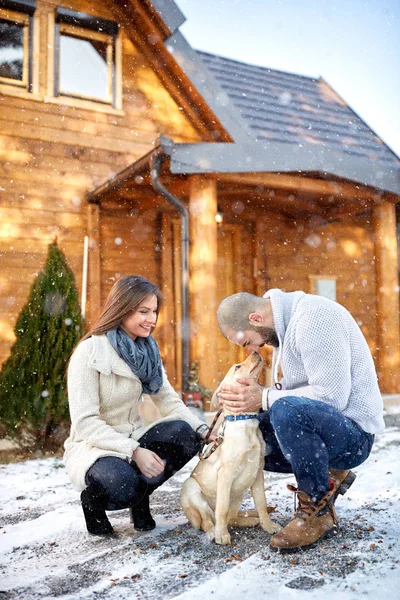 Liebe zwischen Hund und Herrchen — Stockfoto