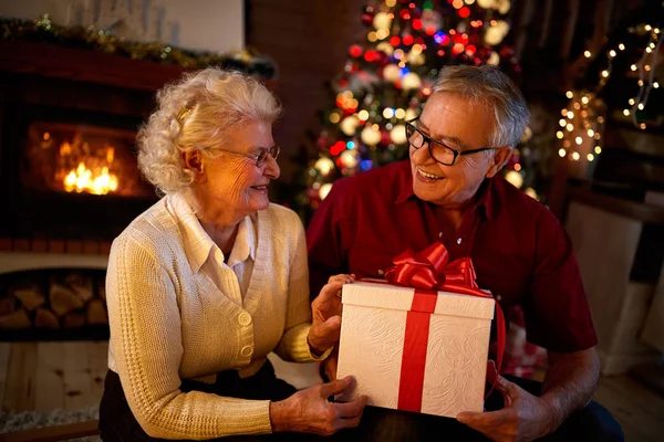 Feliz abuelos sonriendo y sosteniendo un gran regalo — Foto de Stock