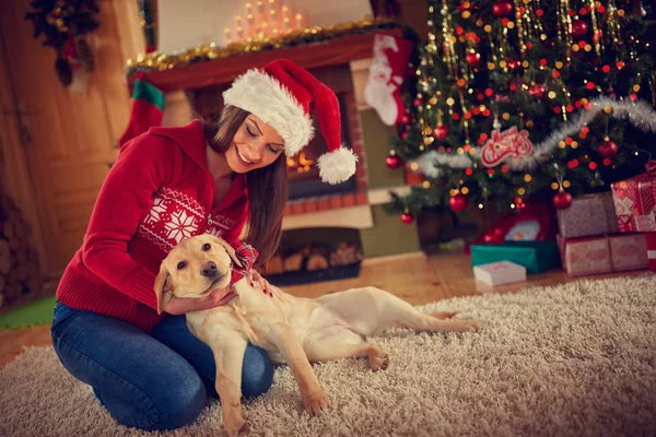 Mulher abraçando belo cão para o Natal — Fotografia de Stock