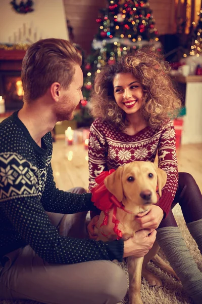 Hund som julklapp — Stockfoto