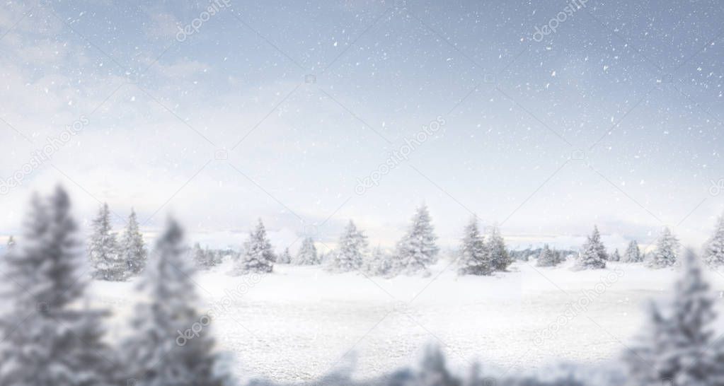 snow and winter landscape panorama