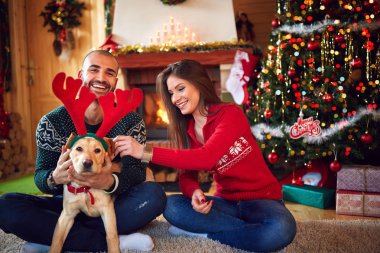 Çift dalga ile köpek yavrusu 