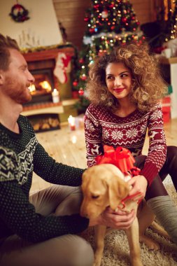 Köpek Noel sürpriz olarak