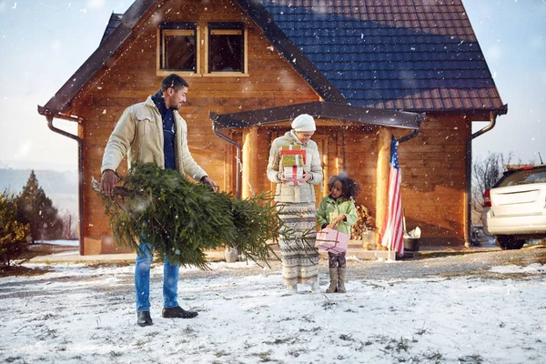 Papai traz árvore de Natal para sua filhinha — Fotografia de Stock