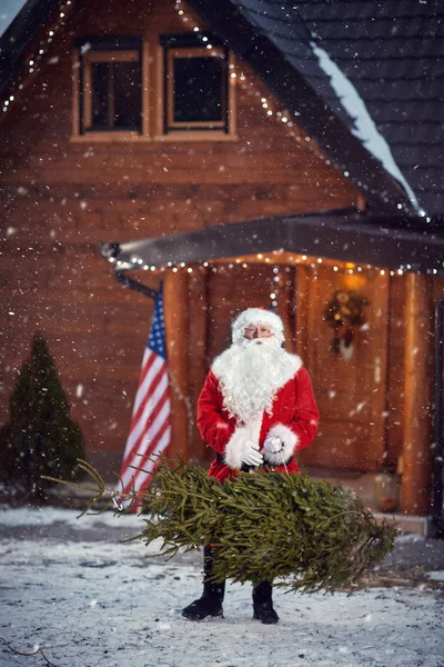 Portrait of Santa with Christmas tree — Stock Photo, Image