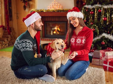 Adam güzel köpek kıza hediye vermek  