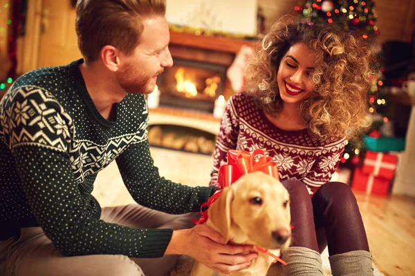 Chica rizada con cachorro como regalo de Navidad — Foto de Stock